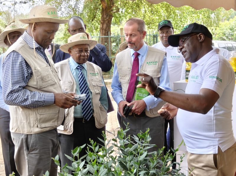 Kakuzi Reports Sh387.5mn Profit, Announces Dividend Boost