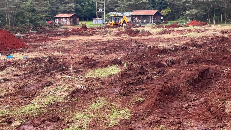 Friends of Karura Forest Applaud Court Order Halting Construction at Rangers Village