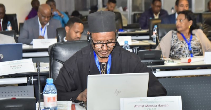 Africa Urged to Boost Local Livestock Production Amid $10 Billion Import Bill
