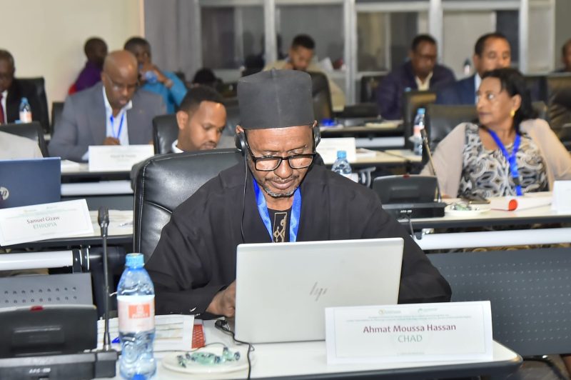 Africa Urged to Boost Local Livestock Production Amid $10 Billion Import Bill
