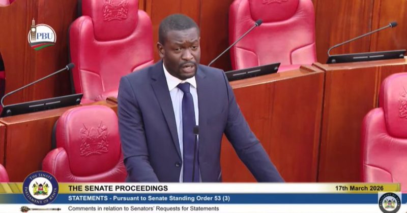 Sifuna, Osotsi dropped from key Senate oversight committees in Minority reshuffle