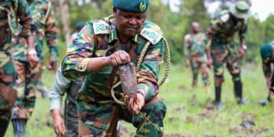 Forest Investors Engage KFS on Sustainable Harvesting in Lower Eastern Region