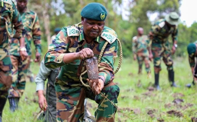 Forest Investors Engage KFS on Sustainable Harvesting in Lower Eastern Region