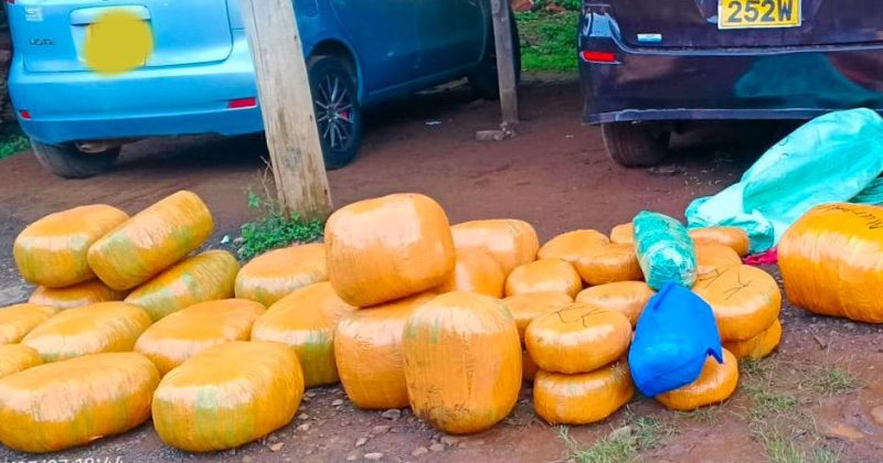 Police intercept 181kg of cannabis in high-speed chase, suspect flees