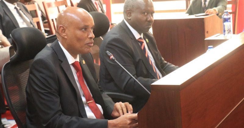MPs blame weak laws, police failures for stalling drug abuse war