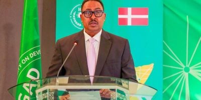 Horn of Africa at ‘Dangerous Crossroads,’ IGAD Chief Warns as Conflicts Become Interconnected