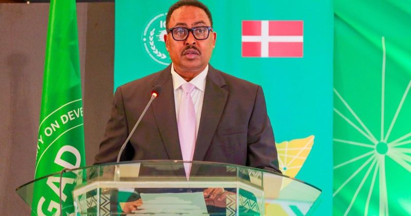 Horn of Africa at ‘Dangerous Crossroads,’ IGAD Chief Warns as Conflicts Become Interconnected
