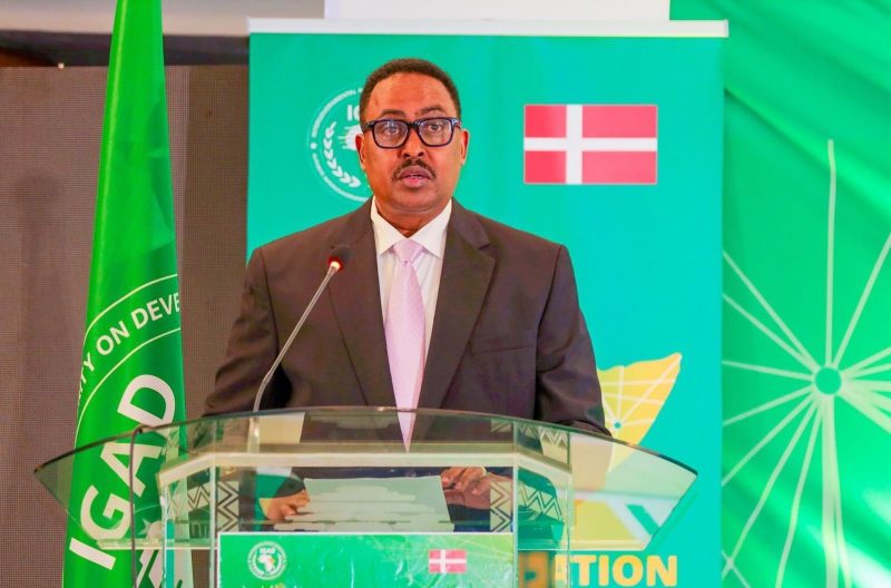 Horn of Africa at ‘Dangerous Crossroads,’ IGAD Chief Warns as Conflicts Become Interconnected