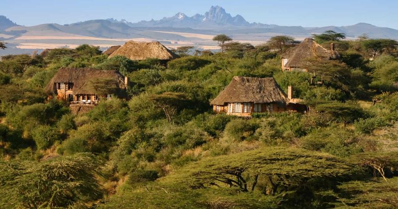 Lewa’s New CEO and the Evolving Face of Conservation Leadership