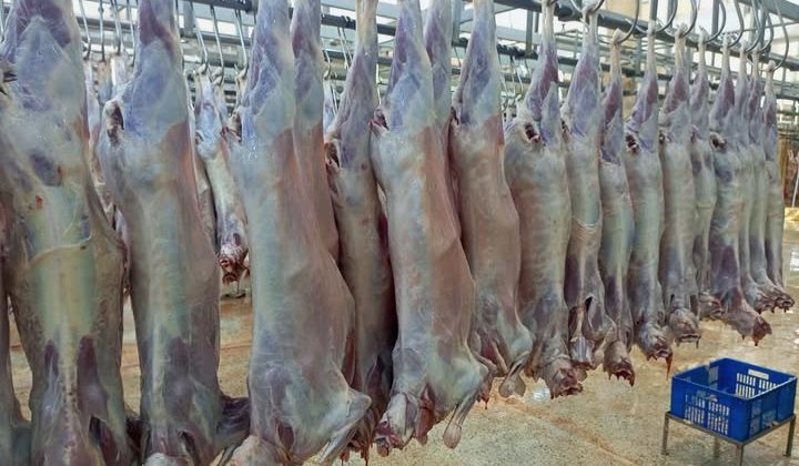 Petitioners challenge private halal certification influence in Kenya’s meat supply chain