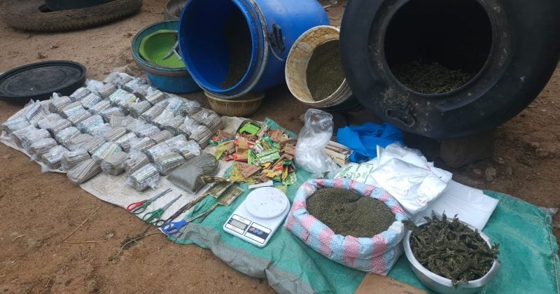 NACADA Nets Sh1mn Cannabis in Kitui Raid, Suspected Trafficker Arrested