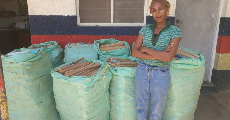 Woman Charged After Sh7.6mn Bhang  Recovered in Kilifi Raid