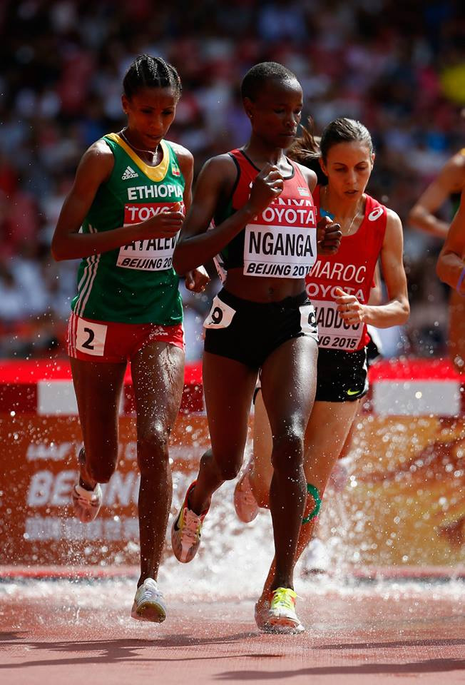 VIRGINIA NYAMBURA