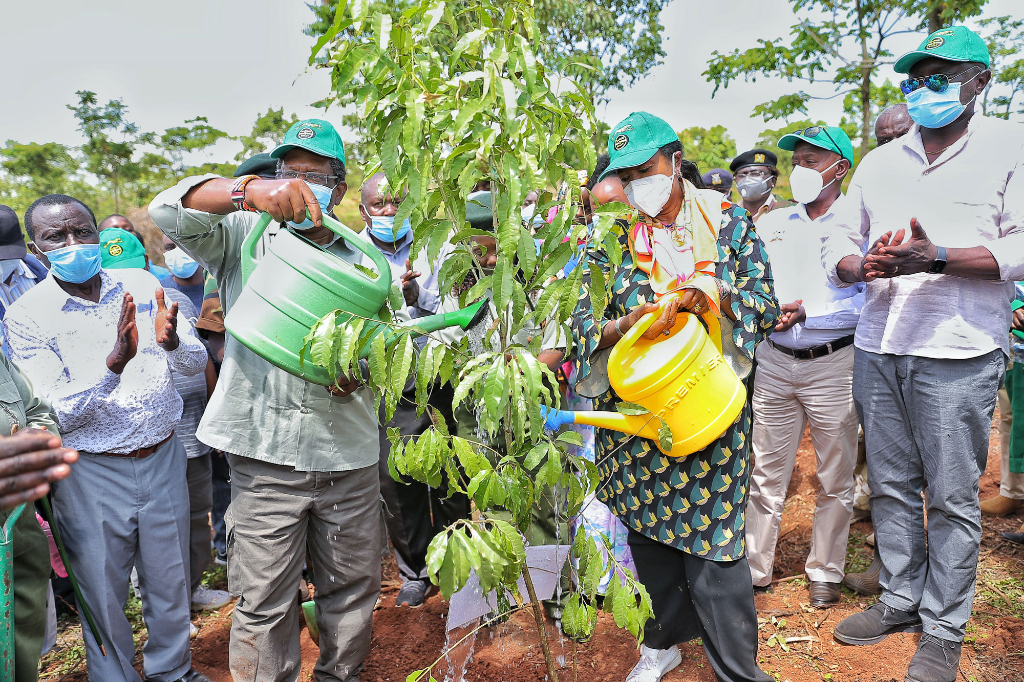Kenya looks to plant 19 million trees in WRC Greening legacy project