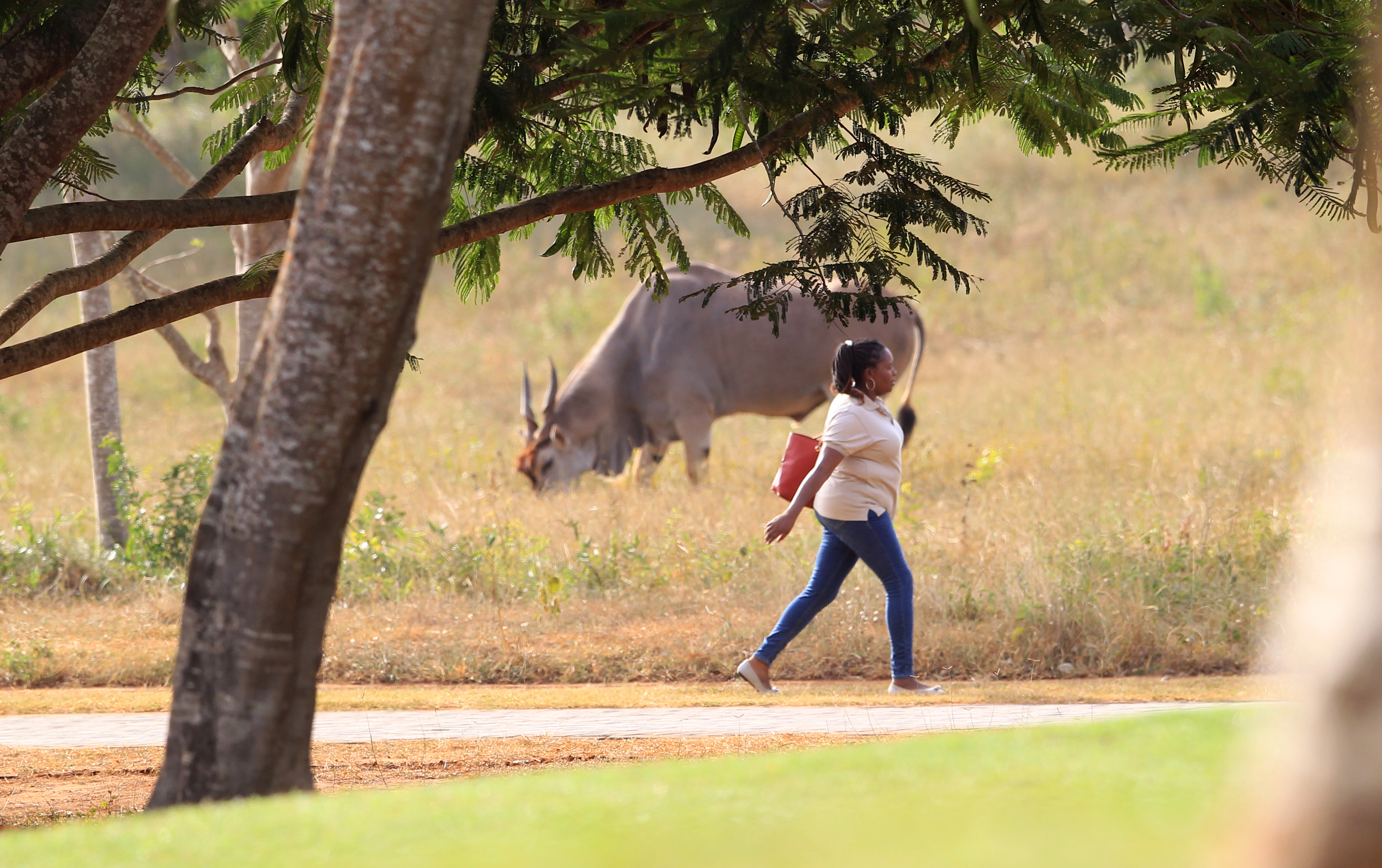 In Pictures: Magical Kenya Ladies Open brings out the beauty and glamour 