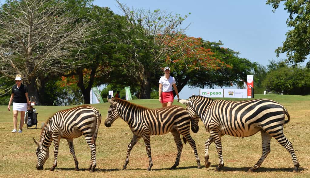 Tee-off time: Sights and sounds players will savour in Vipingo