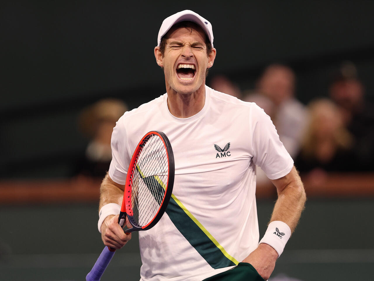 No timescale for Andy Murray’s return after ankle injury