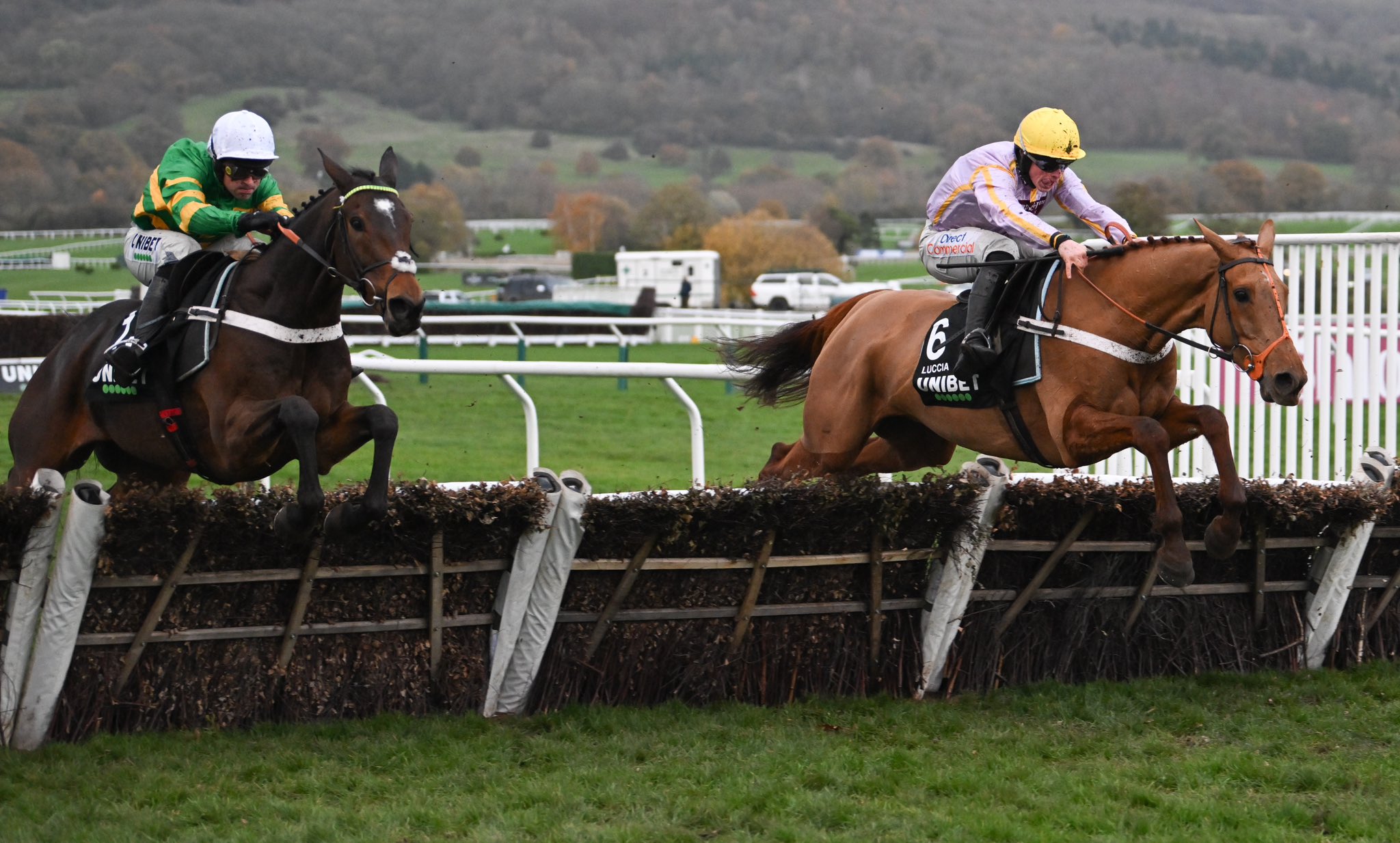Three horses die during racing at Cheltenham