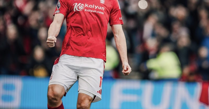 Dark day for Brighton as Forest pump seven past the Seagulls