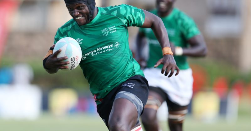 So far, so good for Simbas as Paarwater names team for SA tour