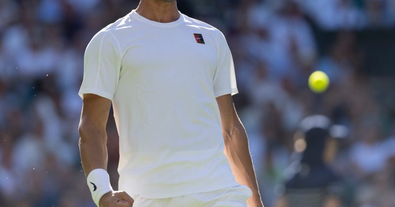 Alcaraz avoids Fognini shock after fan taken ill
