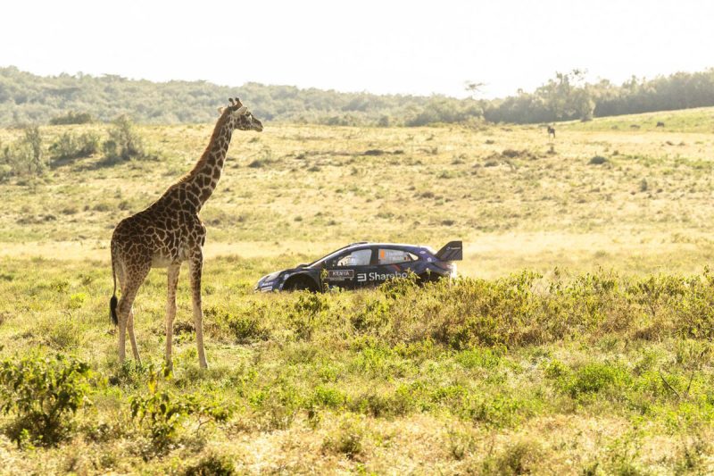 2026 FIA World Rally Championship Safari Rally Kenya Dates Revealed