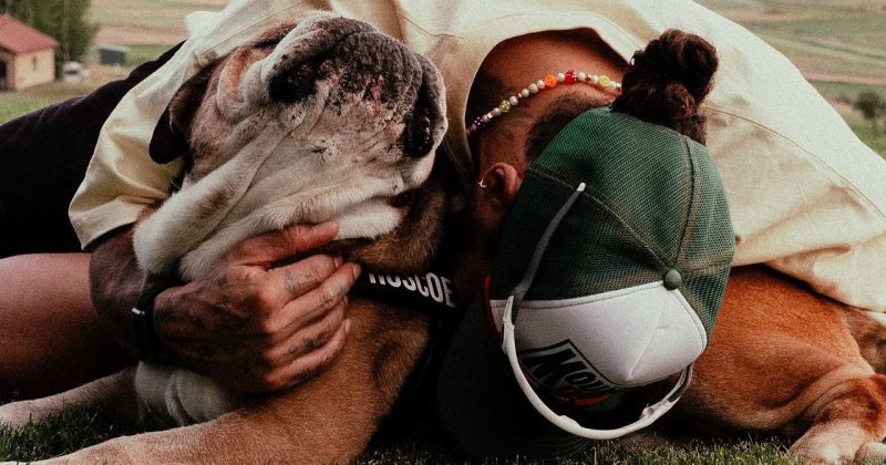 Hamilton pays tribute after his dog Roscoe dies
