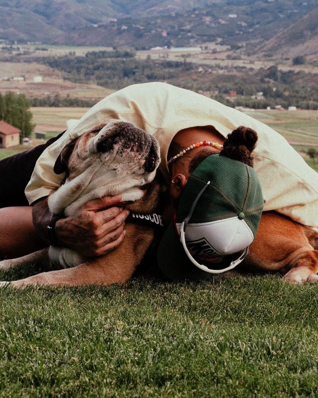 Hamilton pays tribute after his dog Roscoe dies