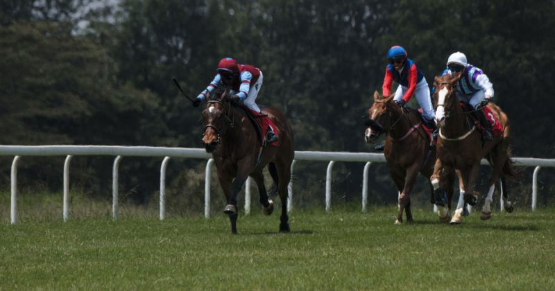Directors Million Shillings Stakes Opens New Horse Racing Season In Nairobi