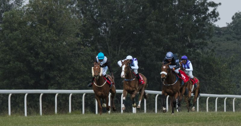 Horse Racing Gathers Momentum As All Roads Lead To Ngong Racecourse For Sunday’s Geoffrey Griffin Trophy Race  